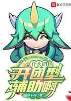 什么叫开团型辅助啊