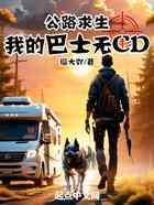 公路求生：我的巴士无CD